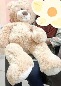 Tedy Bear