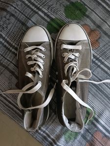 Canvas (Used 2 months Only)