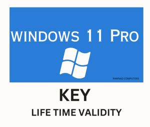 windows 10 & 11pro  product key