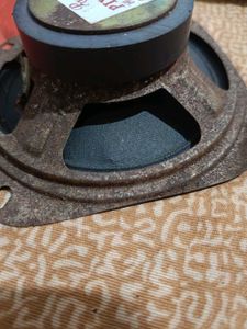 Speaker