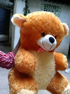 Teddy