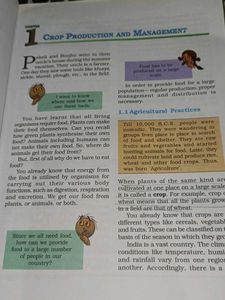 Science Ncert Class 8