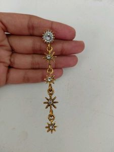 Pretty pair of Golden Earrings