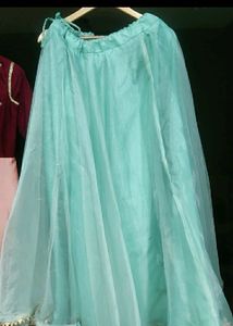 Elegant Ethnic Skirt