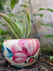Elegant Floral Succulent in Earthen Pot