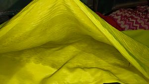 Yellow Saree
