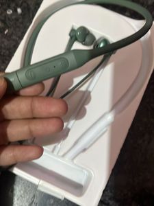 OG Explorer Neck Band