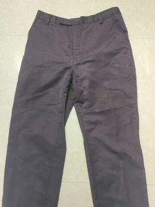 Dark Brown Formal Pants