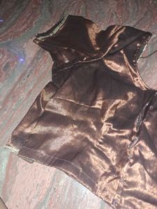Brown Saree Blouse
