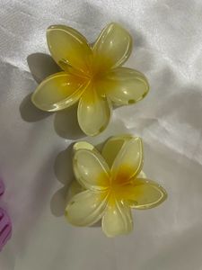 Hair Clip