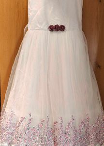 Party Wear Gown