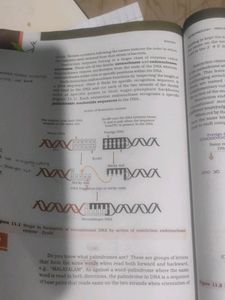 NCERT Biology Class 12