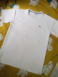 White T-Shirt
