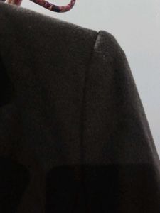 Elegant Brown Coat