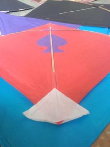 Colorful $CHAMPIONS$ KitesPack of 30