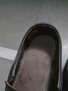 Stylish Brown Loafers