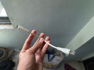 Lightning to USB Cable