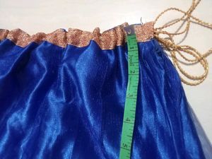 Royal Blue Embroidered Lehenga Skirt
