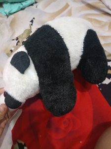Cute Panda Softoy