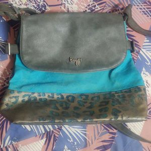 Baggit Bag
