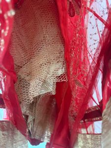 Red Embroidered Lehenga Choli