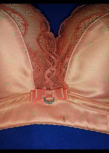 Stylish New Bra😍