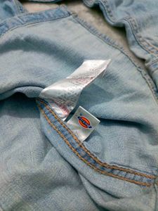 Dickies shirt