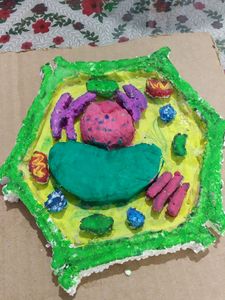 3-D Model Of Plant Cell