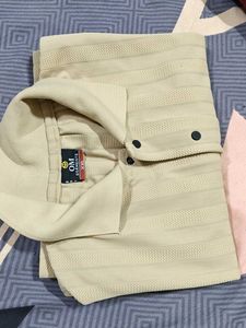 Beige Striped Polo Shirt