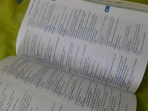 Collins French Dictionary 📃