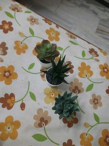 Succulent  Artificial Plants with pot
