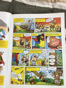 Asterix The Gaul