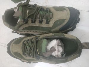 Wood Land Brand New Shoes