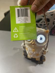 Owl Decor