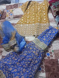 Elegant Embroidered Hyderabadi Garara Suit