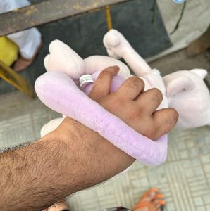 Pokemon Mewtwo Plush