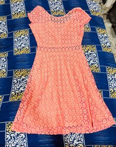Coral Lace Fit &amp; Flare Dress