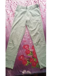 Casual Light Green Trouser