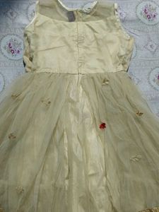 Embroidered Gold and Red Dress