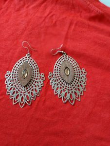 Sliver Earrings/ Stunning Earning