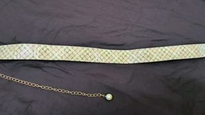 Fansy Belt
