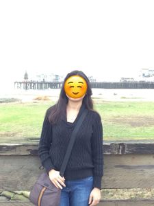 Black V-neck Stylish Sweater - Bought from USA