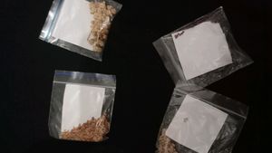 5 Vegatble Seeds