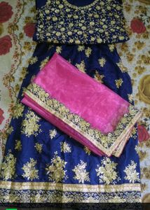 Elegant Blue &amp; Pink Lehenga
