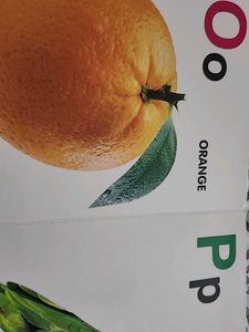 ABC book