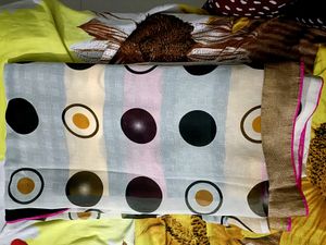 Chiffon Colourfull Saree.wuth Border