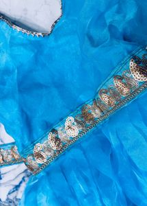 Blue Indian Cinderella Dress