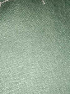 Green Hoodie