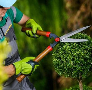 Gardening Hedge Shears