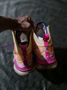 Nike AIR JORDAN LeBron 19